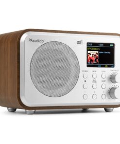 Retourdeal - Audizio Milan draagbare DAB radio met Bluetooth, FM radio