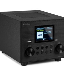 Retourdeal - Audizio Vieste DAB radio met subwoofer - Digitale radio